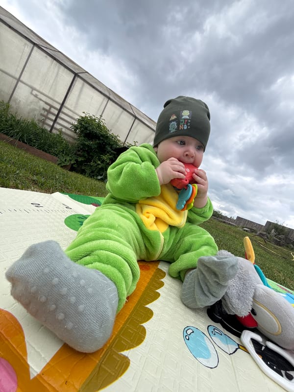 Baby in dinosaur costume photographed in Noviy, Russia