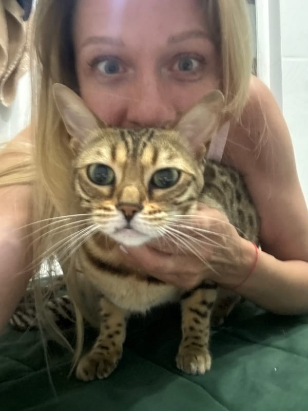 Children playing, Bengal cat posing indoors during summer evening