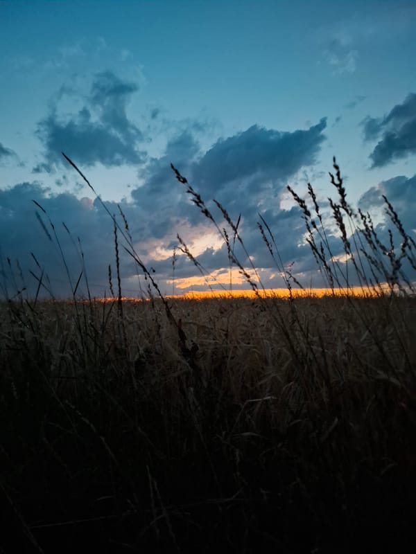 Sunset fading to dusk over Kirchardt fields