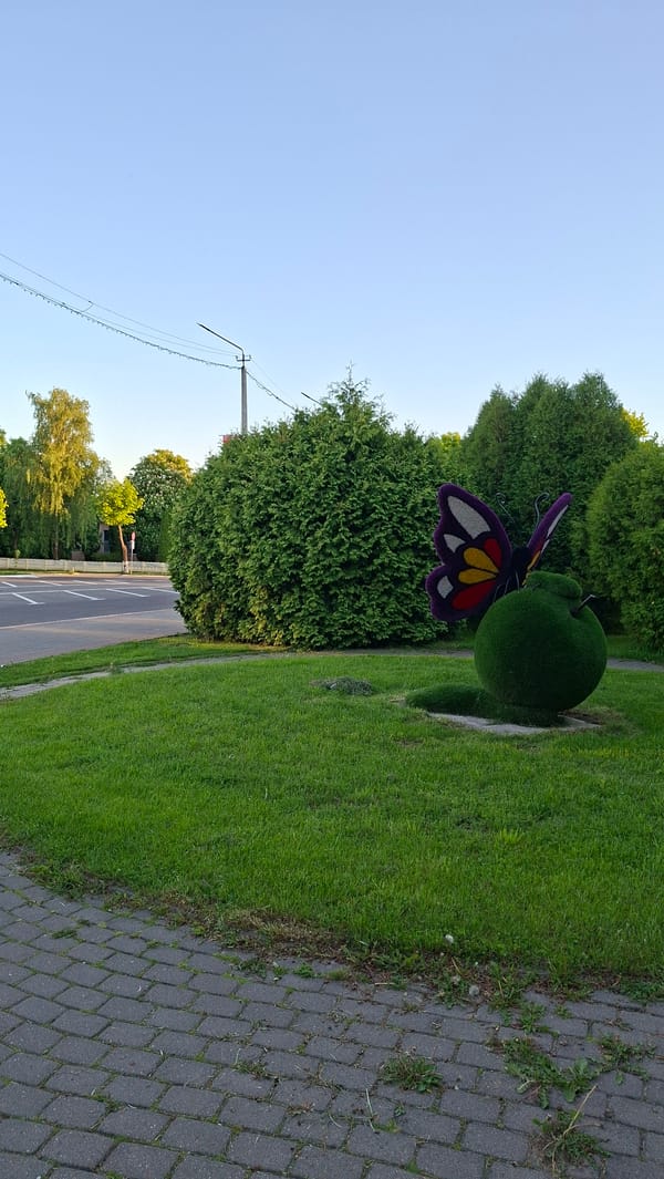 Casual scenes captured around Myadzyel, Belarus during evening hours