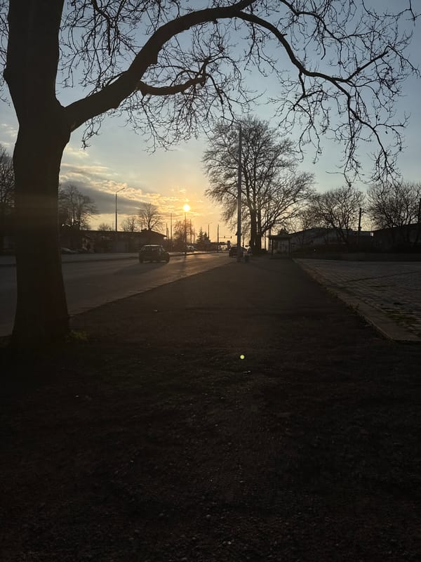 Sunset captured along street in Dobrich, Bulgaria
