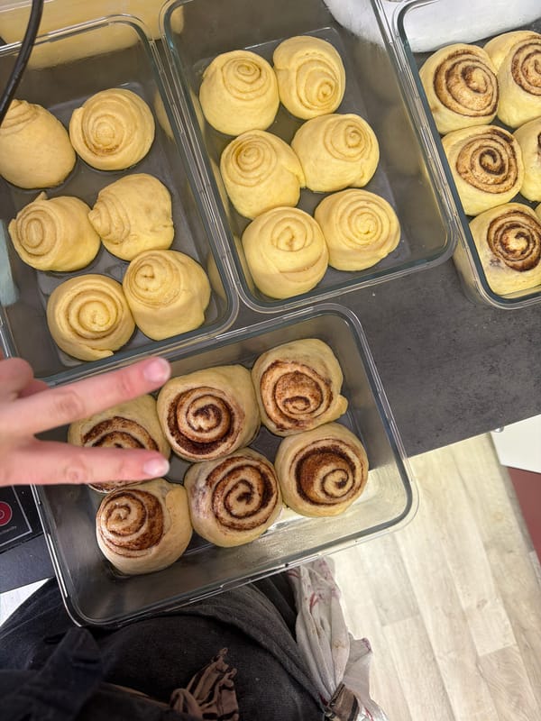 Cinnamon rolls captured at various baking stages in Meisenheim