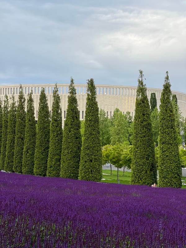 Afternoon visitors document sculptural park in Krasnodar, Russia