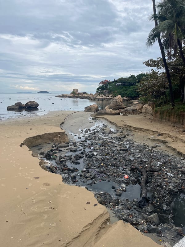 Morning observations document daily life across Nha Trang's coastal ward