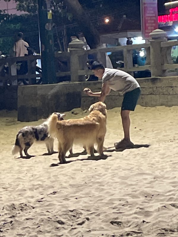 Nighttime beach life captured in Bắc Nha Trang, Vietnam