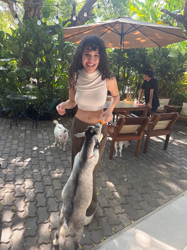 Bottle-feeding goats and brunch at a Bangkok café