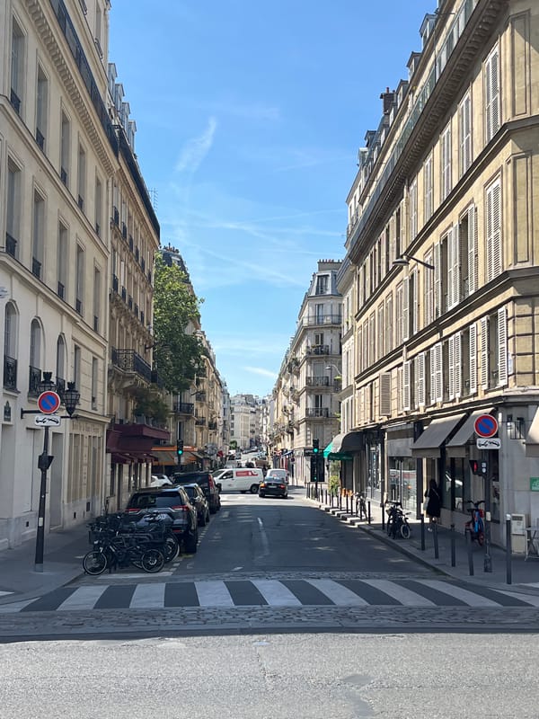 Paris street scenes with Notre-Dame still under reconstruction