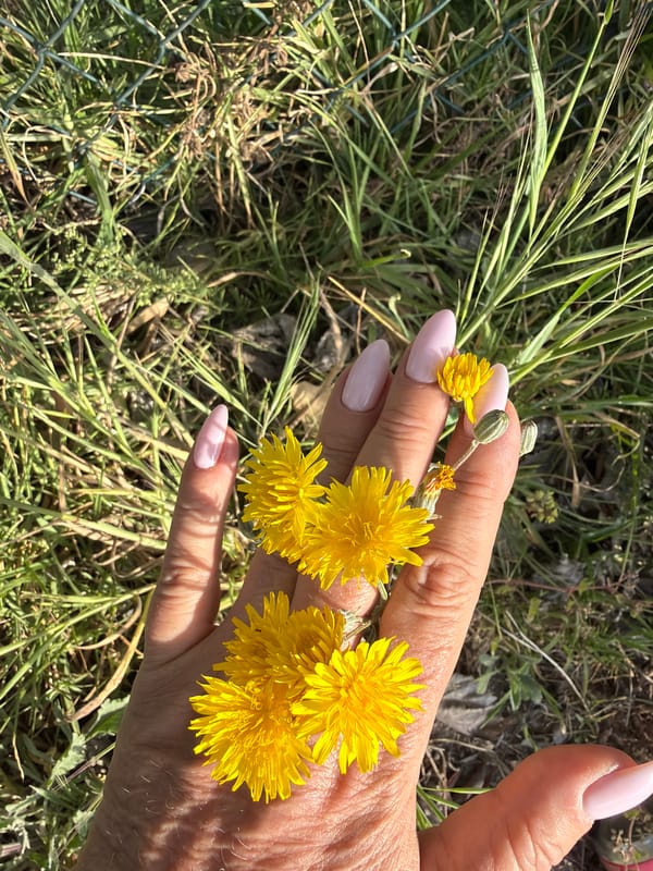Morning dog walk with flower picking in Mont-roig del Camp