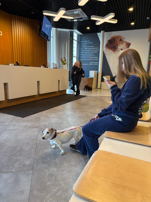 Dog owners gather in indoor public space in Saint Petersburg