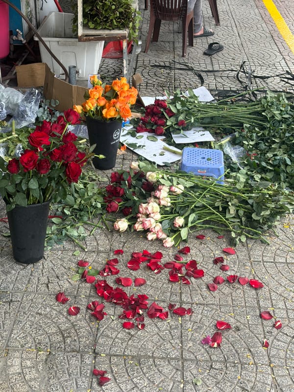Street flower vendor displays roses on Đà Nẵng sidewalk