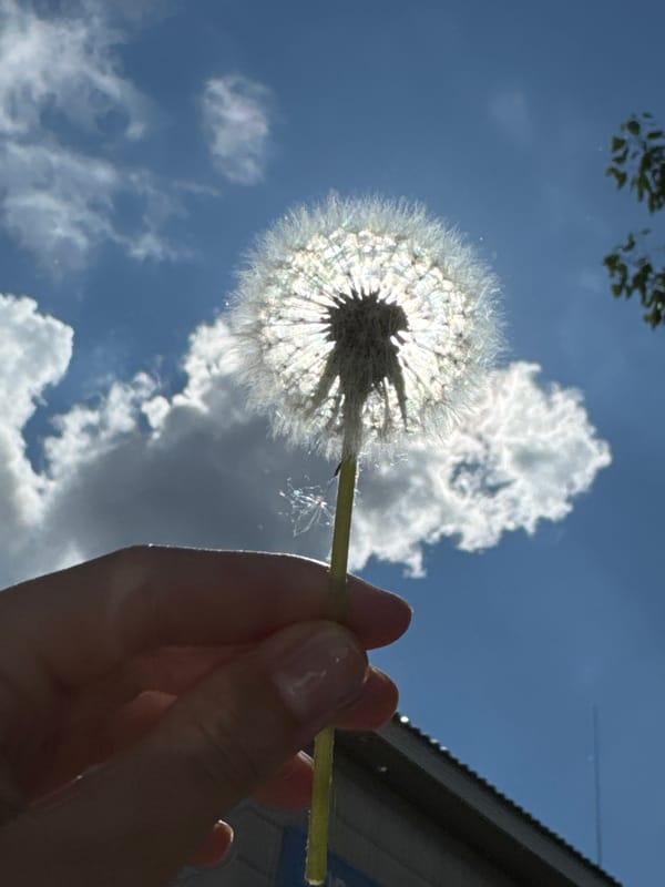 Ordinary Sunday Morning Moments Documented Across Chaikovsky, Russia