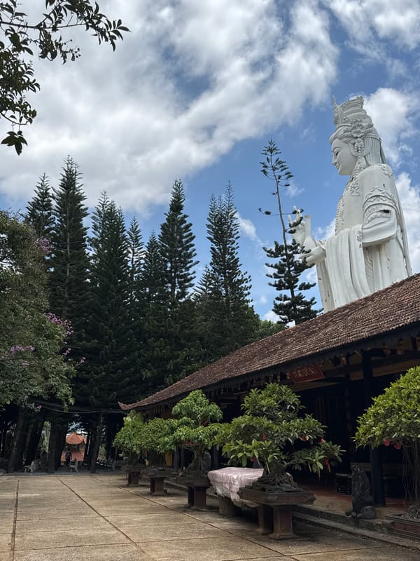 Dawn documentation of Lady Buddha statue at Vietnamese temple