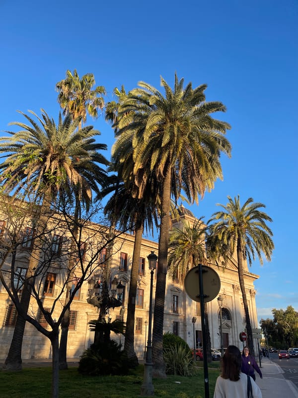 Early morning street scenes documented in Valencia, Spain