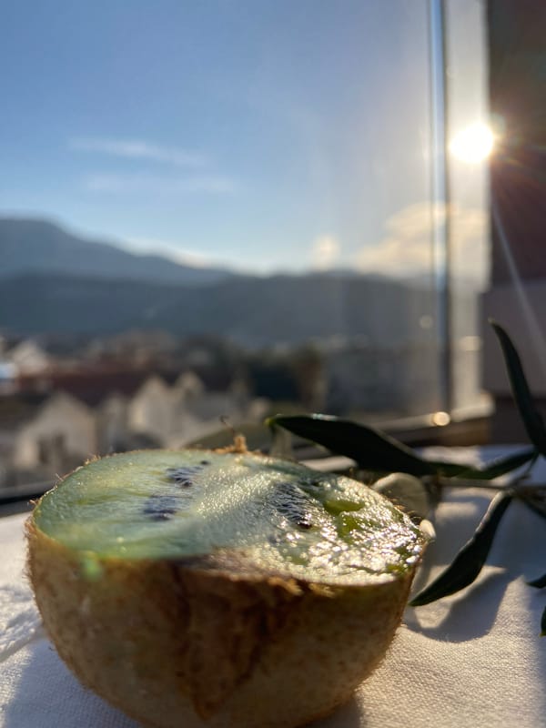 Dawn still-life photography session captures kiwi fruits in Budva
