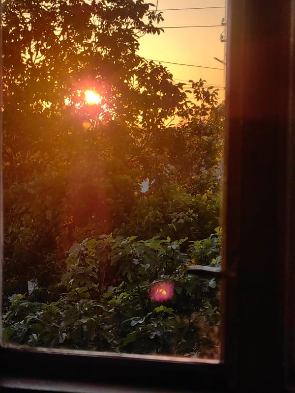 Sunset viewed through window with trees and power lines