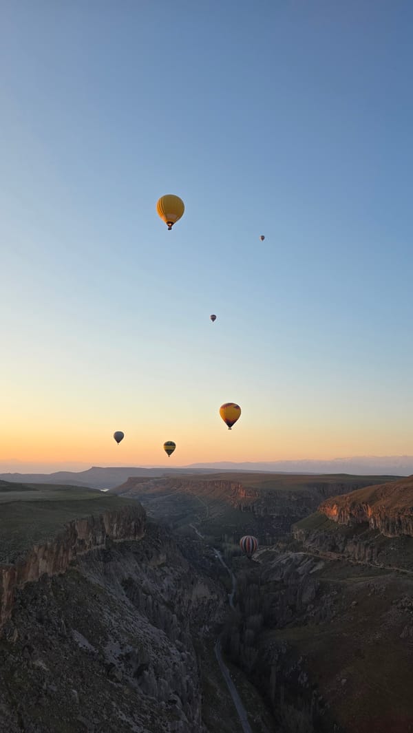 Hot air balloons spotted flying over canyon at sunrise