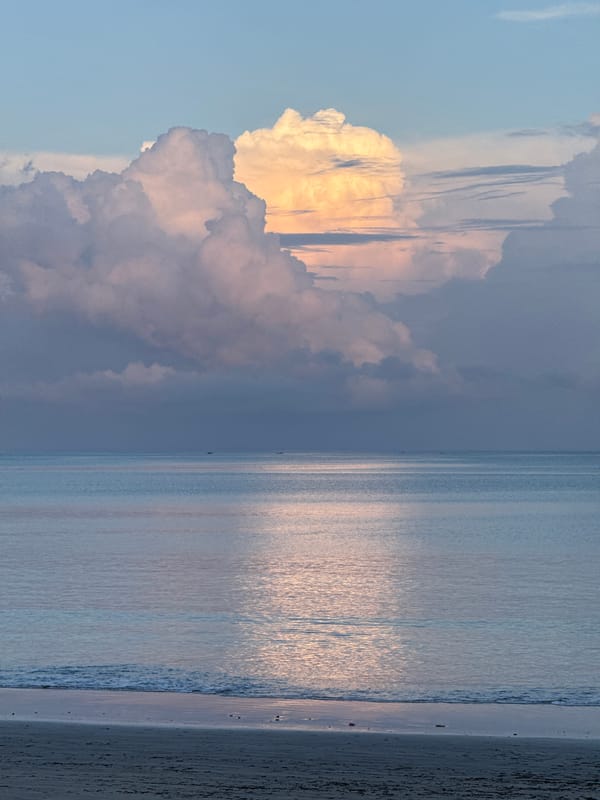 Woman spotted with dogs on Kuta beaches