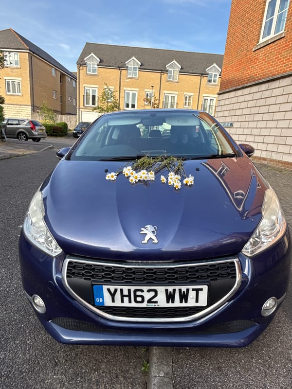 Great Yarmouth resident captures ordinary evening activities
