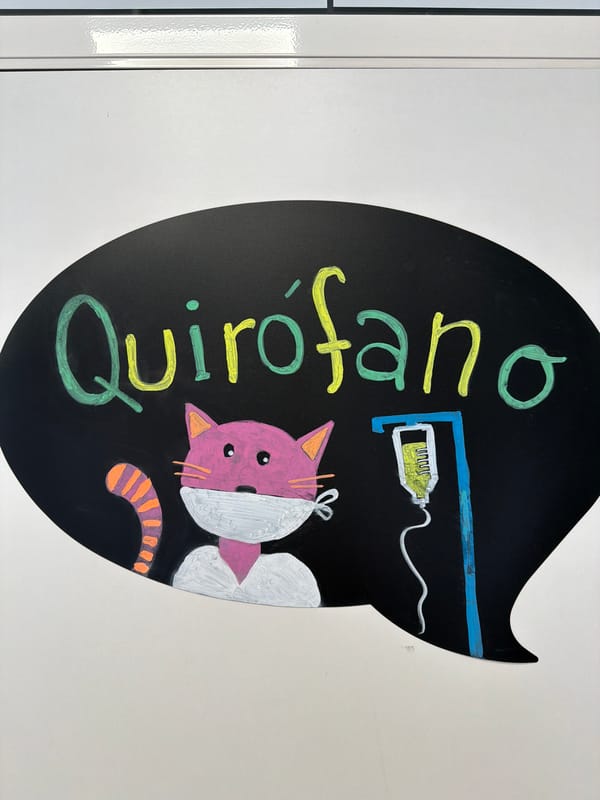 Casual moments captured in Madrid: chalkboard sign and woman with dog