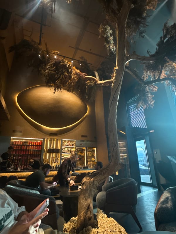 Moscow bar interior with dramatic natural wood branch decor