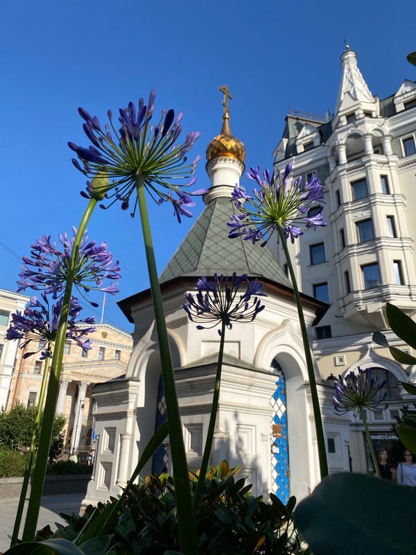 Flowers and facades along a central Moscow street