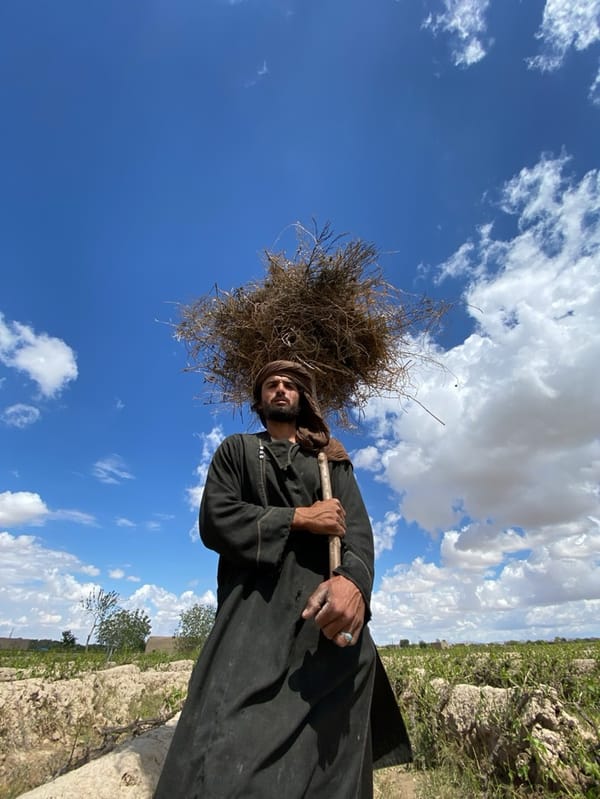 Farmers tend fields and irrigation systems in Afghanistan
