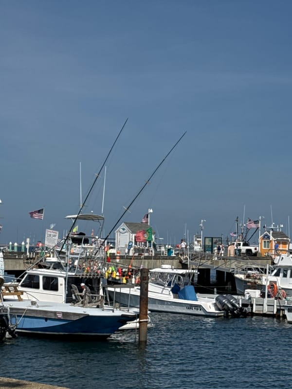 Sunny afternoon at Provincetown's busy harbor waterfront