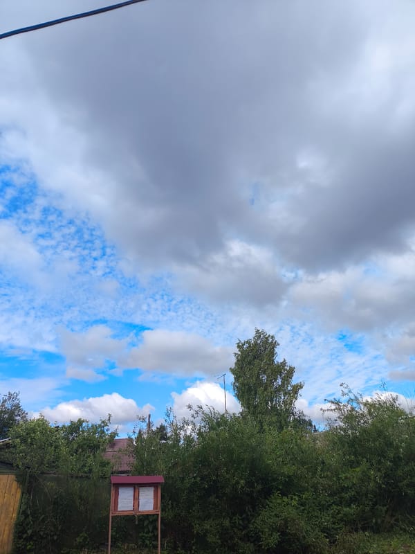 Early morning walk through rural Russian forest and village surroundings
