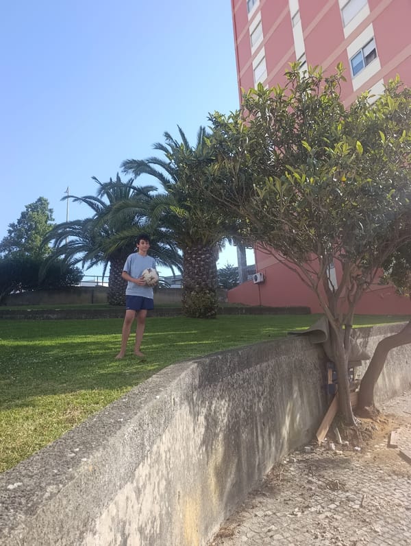 Afternoon in Setúbal: streets, gardens, and home interiors