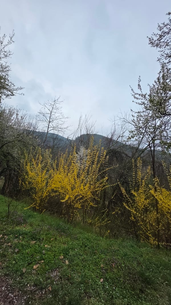 Spring morning scenes documented along Blagoevgrad roads and waterfall