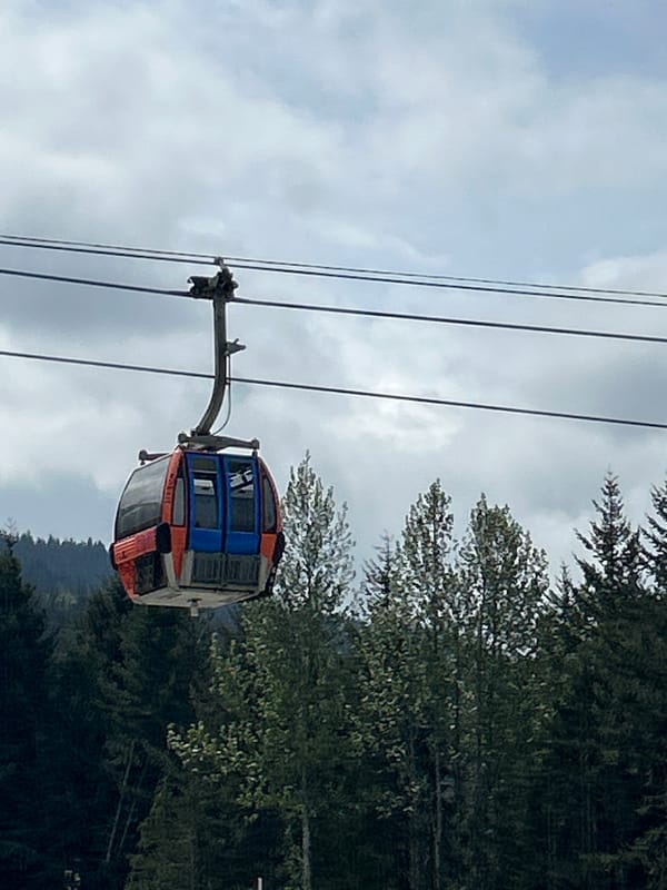 Witness captures Whistler gondola, river, and ski infrastructure views