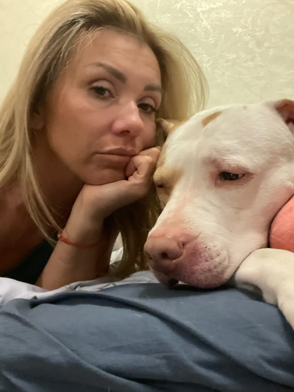 Pit bull and owner share a quiet afternoon at home