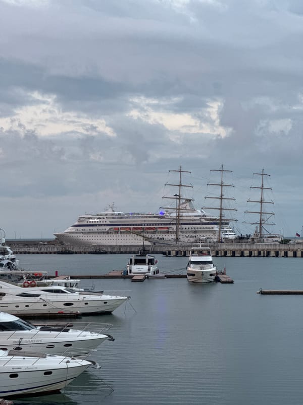Sochi harbor at dusk: cruise ships, tall ships, and packed marina