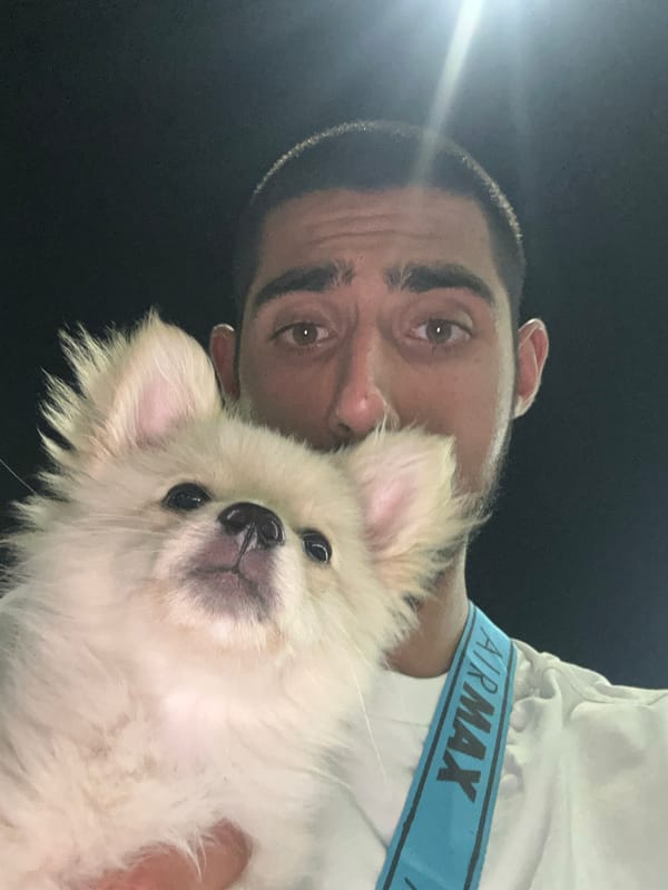 Fluffy dog steals the show at Ravda restaurant night out