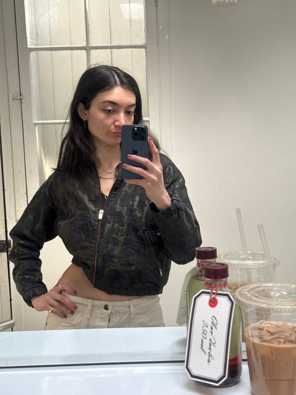 Dog rests by window in NYC apartment