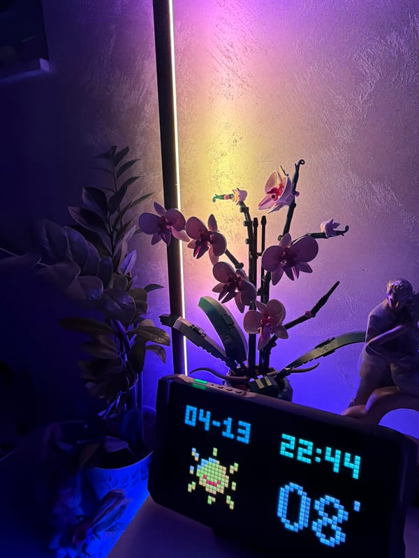 LEGO orchid display documented in Varna home