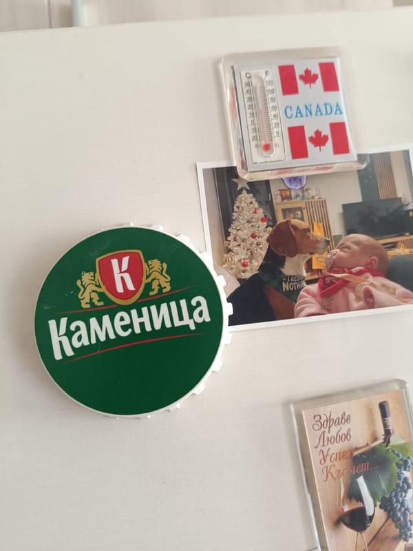 Domestic life moments documented across two hours in Varna