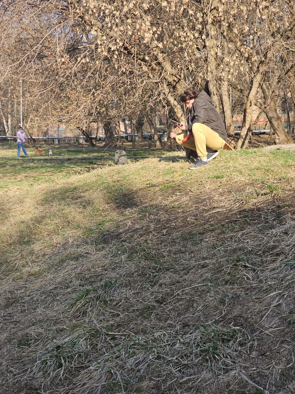 Person with tool spotted near tree in Khimki