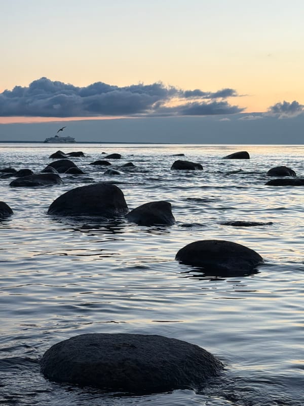 Baltic sunset at Haabneeme with spotting scope and ferries on horizon