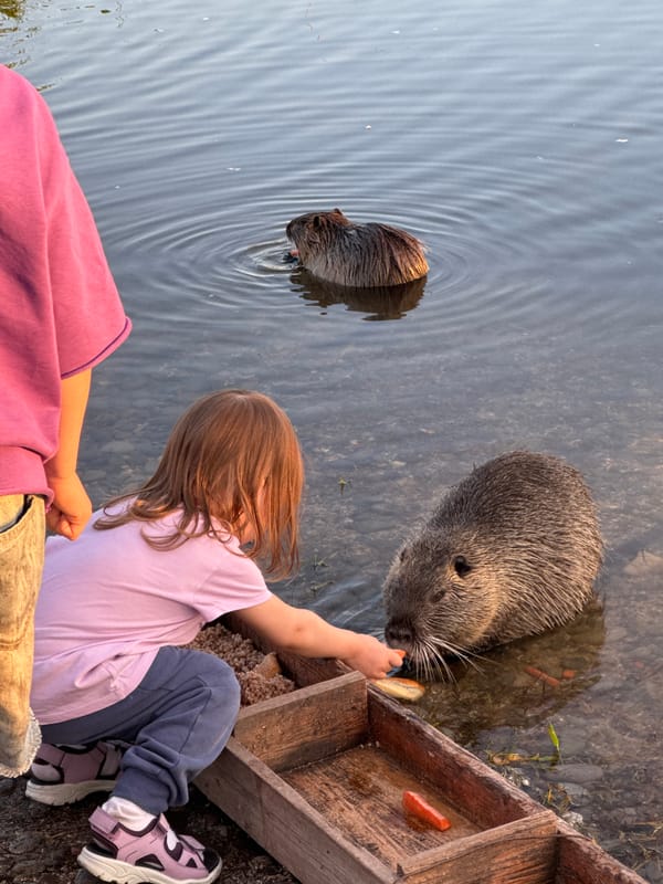 Children feed nutria by waterside in Novorossiysk