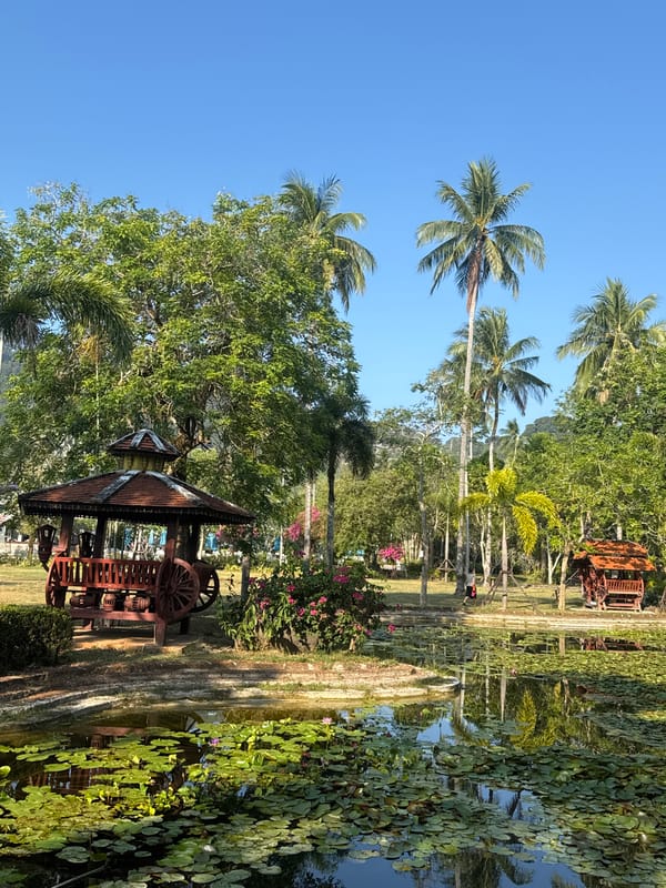 Nighttime stroll captured in tranquil Patong park setting