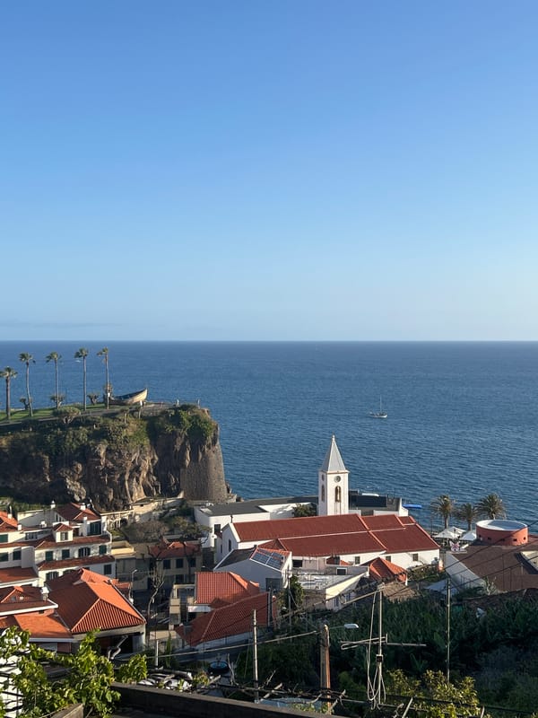 Afternoon documentation of coastal life in Câmara de Lobos