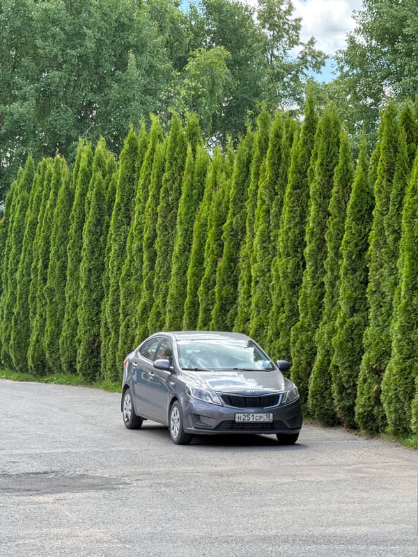 Gray Kia sedan parked near evergreen hedge in Izhevsk