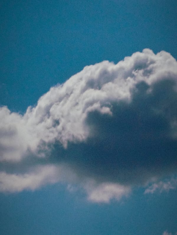Sky watch: clouds build from fluffy to storm-ready over an hour
