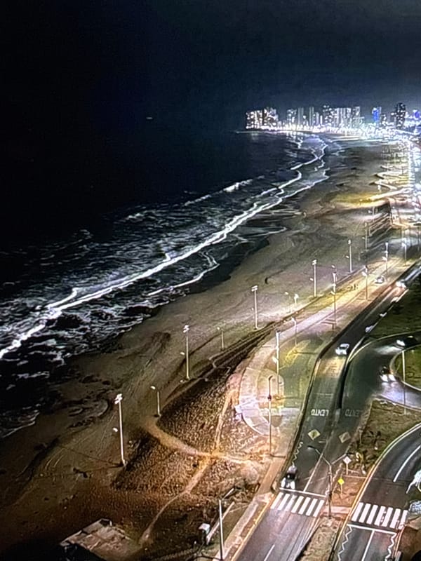 Late night in Iquique: classes, streets, and a kitten