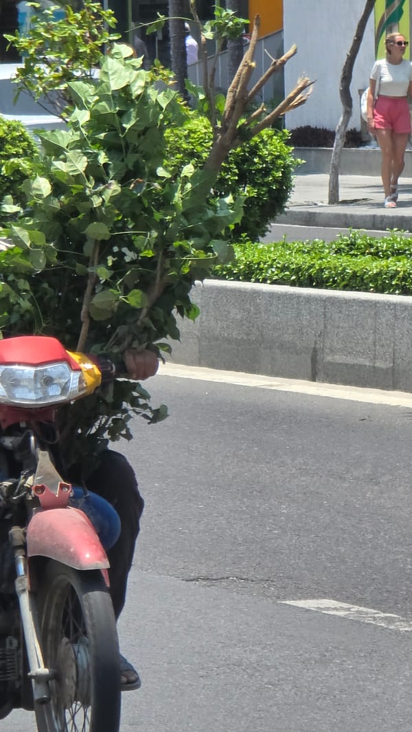 Morning life captured across Nha Trang's streets and beaches
