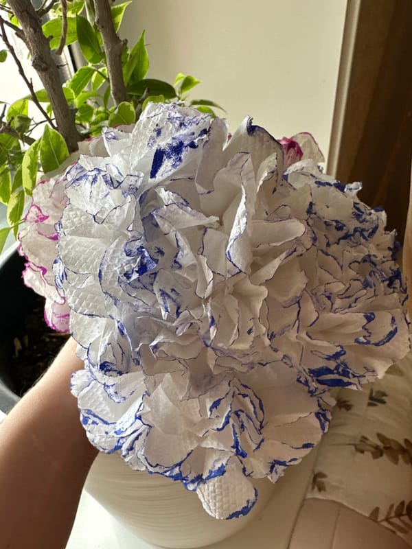 Domestic life documented in Vitsebsk home over morning hours