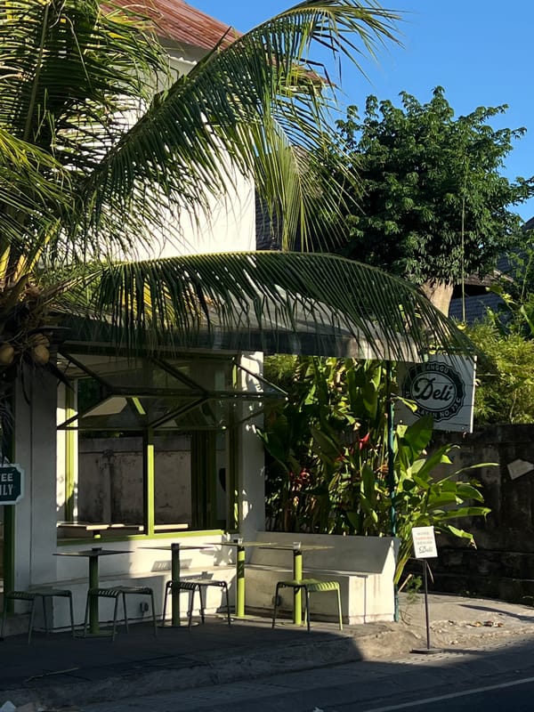 Morning street life documented across North Kuta commercial district