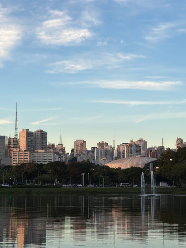 Black swans and city reflections at Ibirapuera Park, São Paulo