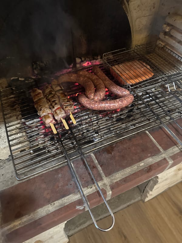 Cozy evening with poodle, fireplace, and outdoor grilling in Bulgaria